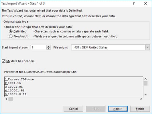 excel text import wizard default settings