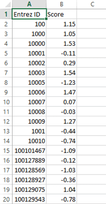 Imported data opened in Excel