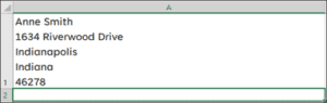 ALT+ENTER in Excel - What Does it Do?
