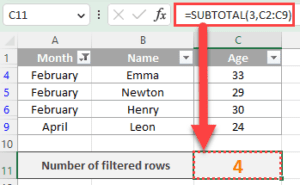 How to Count Filtered Rows in Excel?