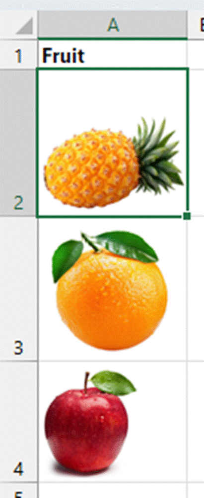 All the selected images are inserted.