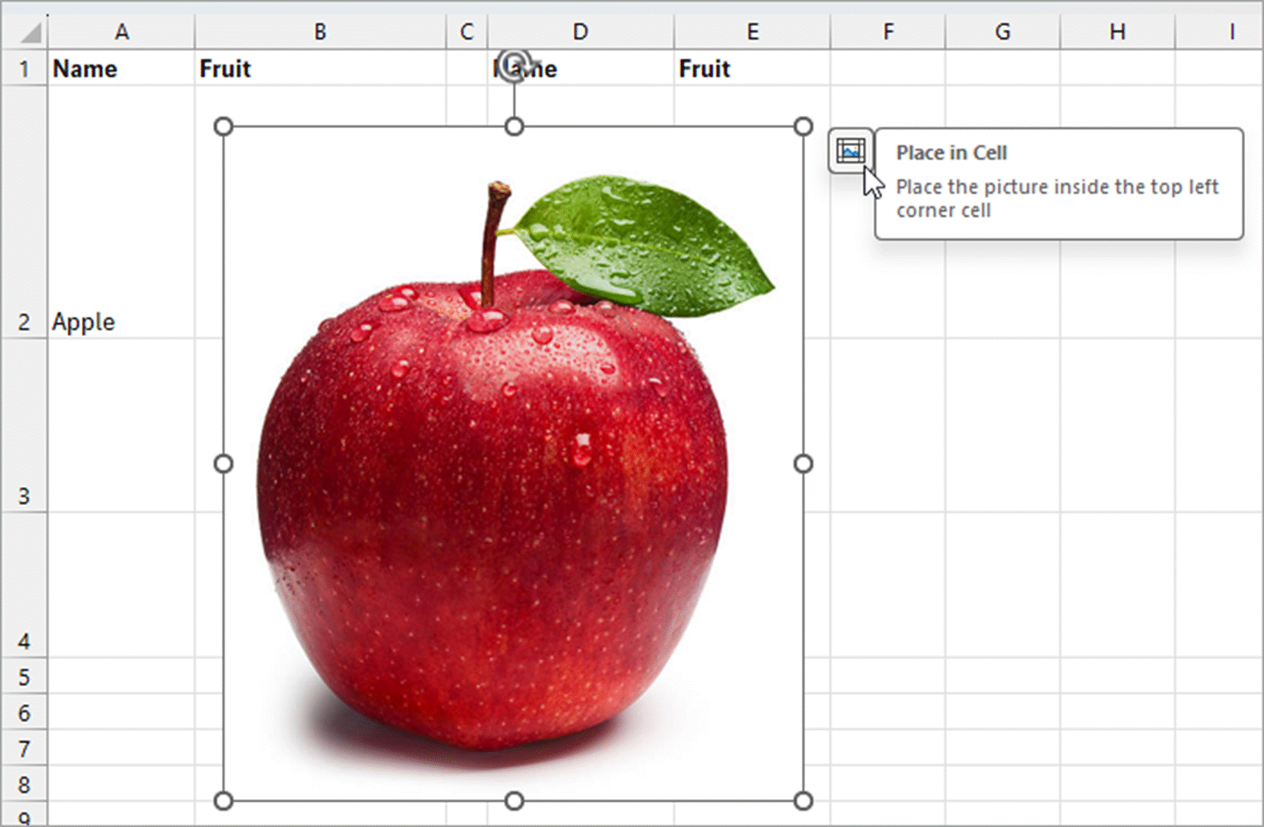 clicking the Place in Cell command icon