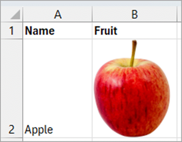 Image on the URL is added to the cell.