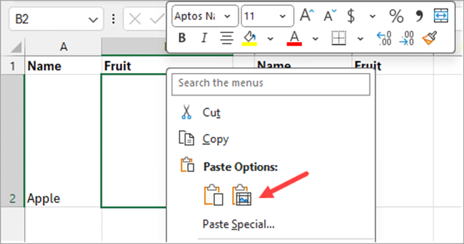 Click the "Paste picture" option.