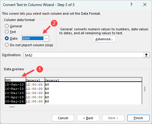 Select the date option in the Convert Text to Columns Wizard, step 3 of 3.