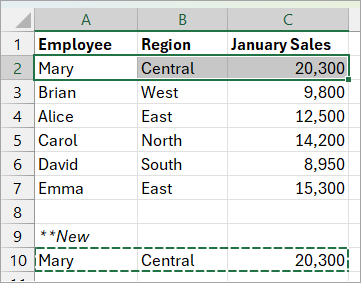 Copied cells are inserted, and cells are shifted down.
