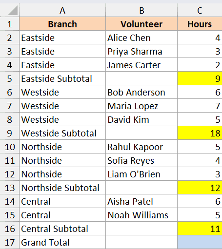 Excel data set showing volunteer hours by branch with subtotals highlighted in yellow cells