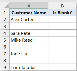 Excel dataset with Customer Name in column A and empty Is Blank? column B, showing rows with and without names