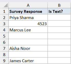 Excel dataset with Survey Response names and numbers in column A and an empty Is Text? column B