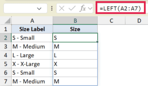 LEFT Function in Excel (6 Easy Examples)