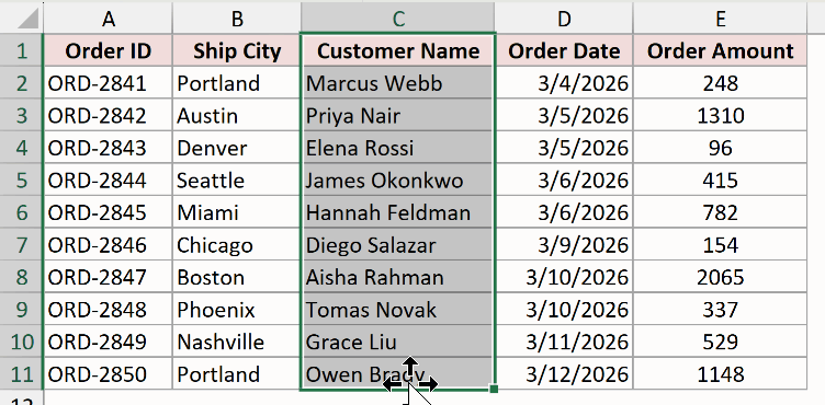 Hovering the left border of the selected Customer Name column: the pointer turns into the four-headed move arrow (not the thin plus-sign fill handle)