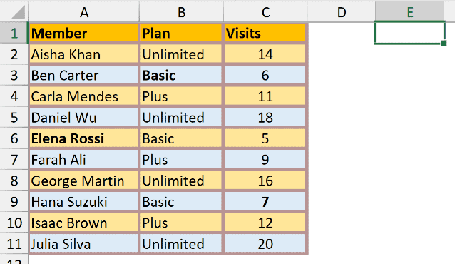 Blank cell E1 selected as the clean formatting source for Format Painter.