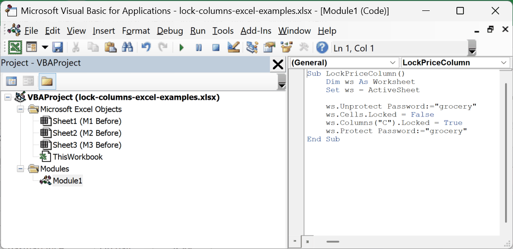 The LockPriceColumn macro in the Visual Basic Editor after pressing Alt and F11.
