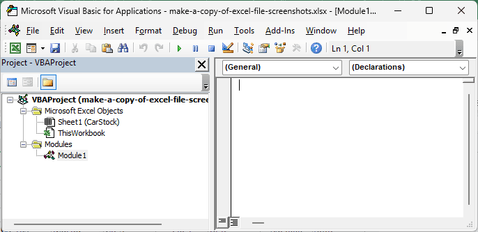 A new blank module in the Visual Basic Editor