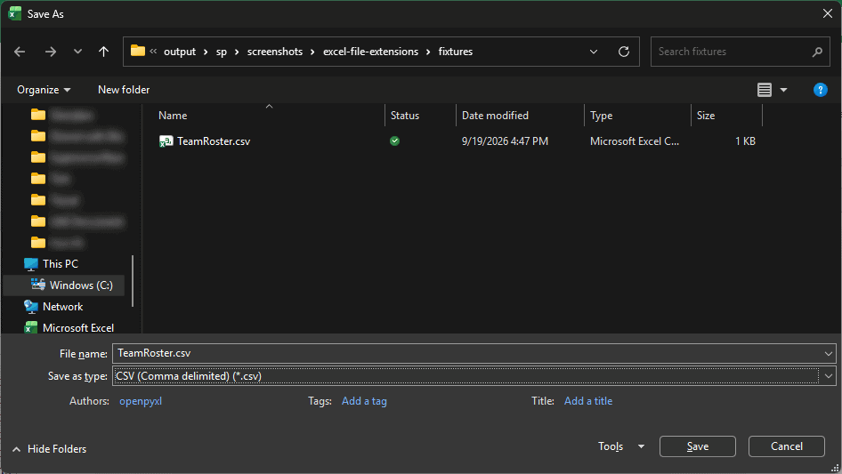 Excel: CSV selected and Save control visible