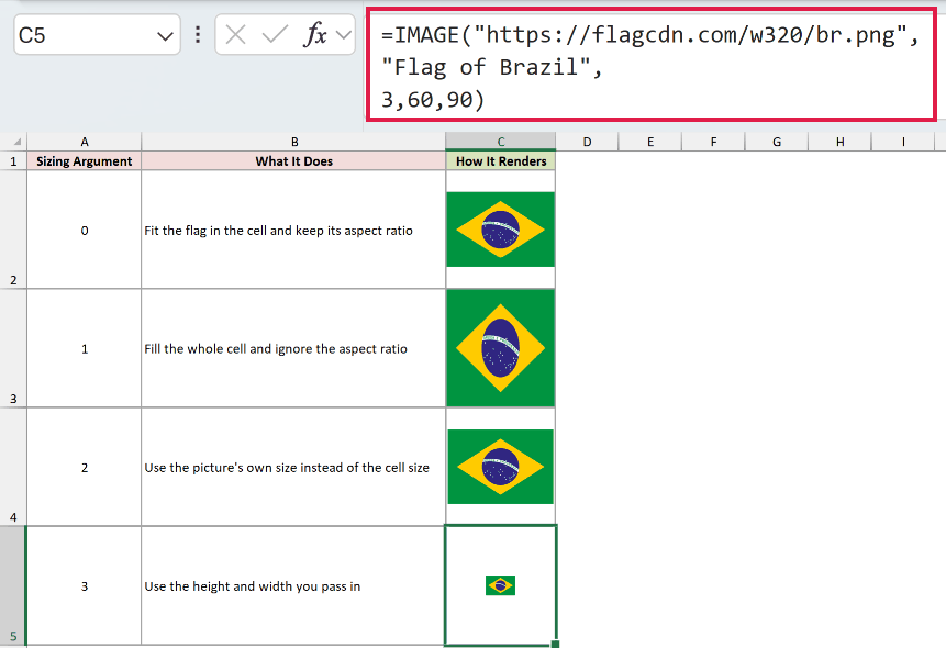 =IMAGE("https://flagcdn.com/w320/br.png","Flag of Brazil",3,60,90) in C5