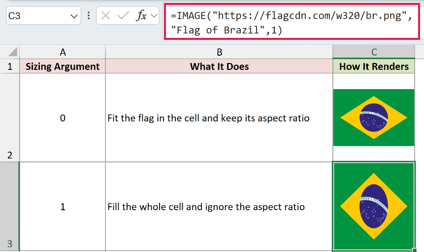 =IMAGE("https://flagcdn.com/w320/br.png","Flag of Brazil",1) in C3