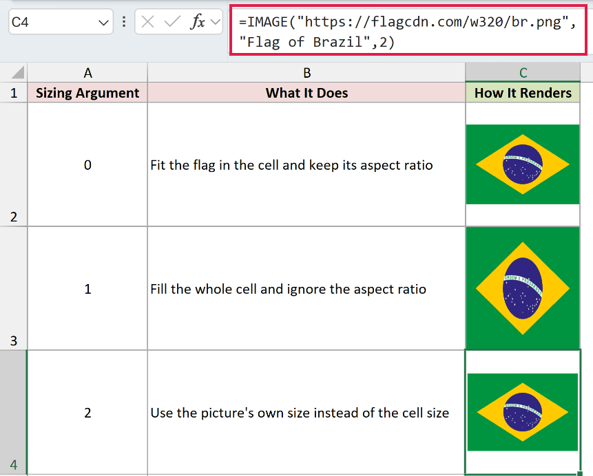 =IMAGE("https://flagcdn.com/w320/br.png","Flag of Brazil",2) in C4
