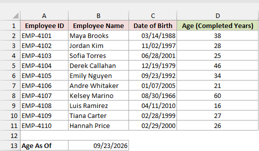 Employee list with dates of birth and the completed-years age in column D