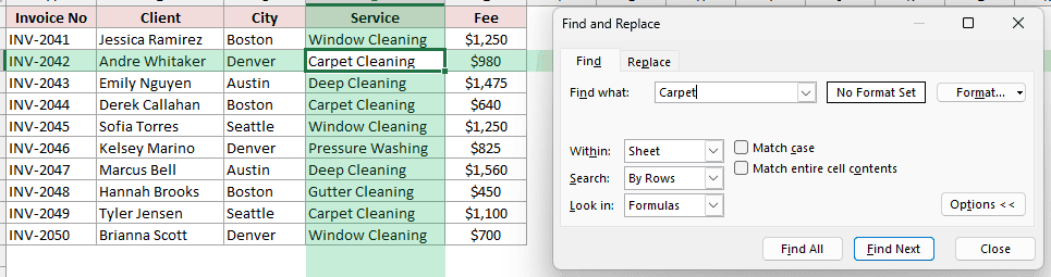 Excel Find dialog showing Carpet found in cell D3 with Match entire cell contents unchecked