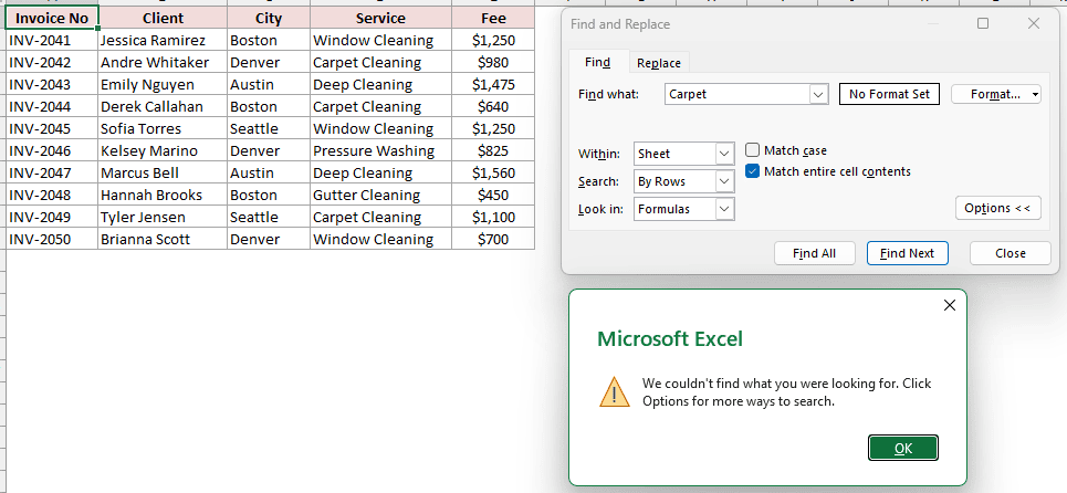 Excel Find dialog showing Carpet not found with Match entire cell contents checked