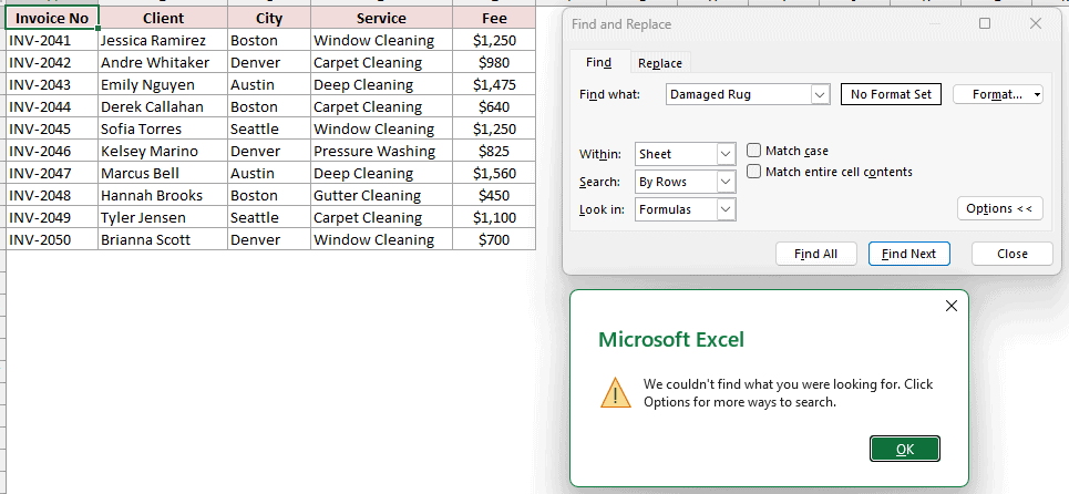Excel Find dialog showing Damaged Rug not found with Within set to Sheet