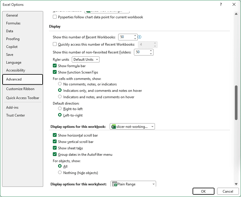 Excel Options with For objects, show set to All