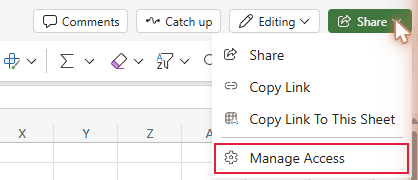 Excel for the web Share menu with Manage Access highlighted