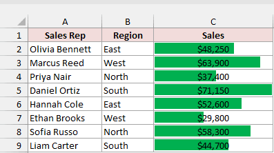 Solid green data bars appear behind the visible sales numbers in the Sales column.
