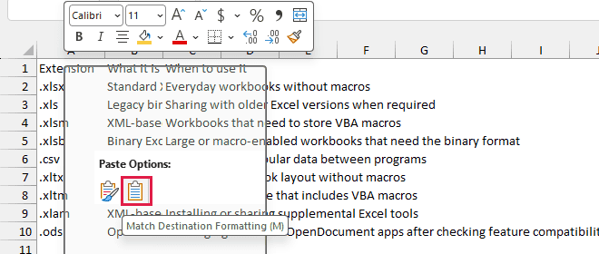 Right-click menu on a blank sheet with Match Destination Formatting under Paste Options