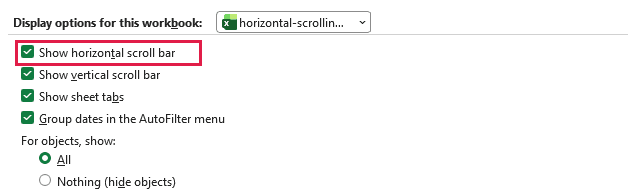 Show horizontal scroll bar check box in Excel Options