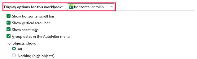 Display options for this workbook section in Excel Options